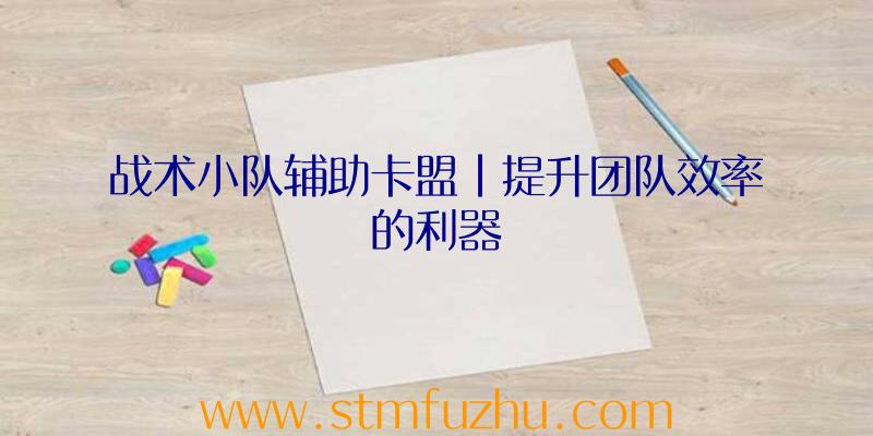 战术小队辅助卡盟|提升团队效率的利器